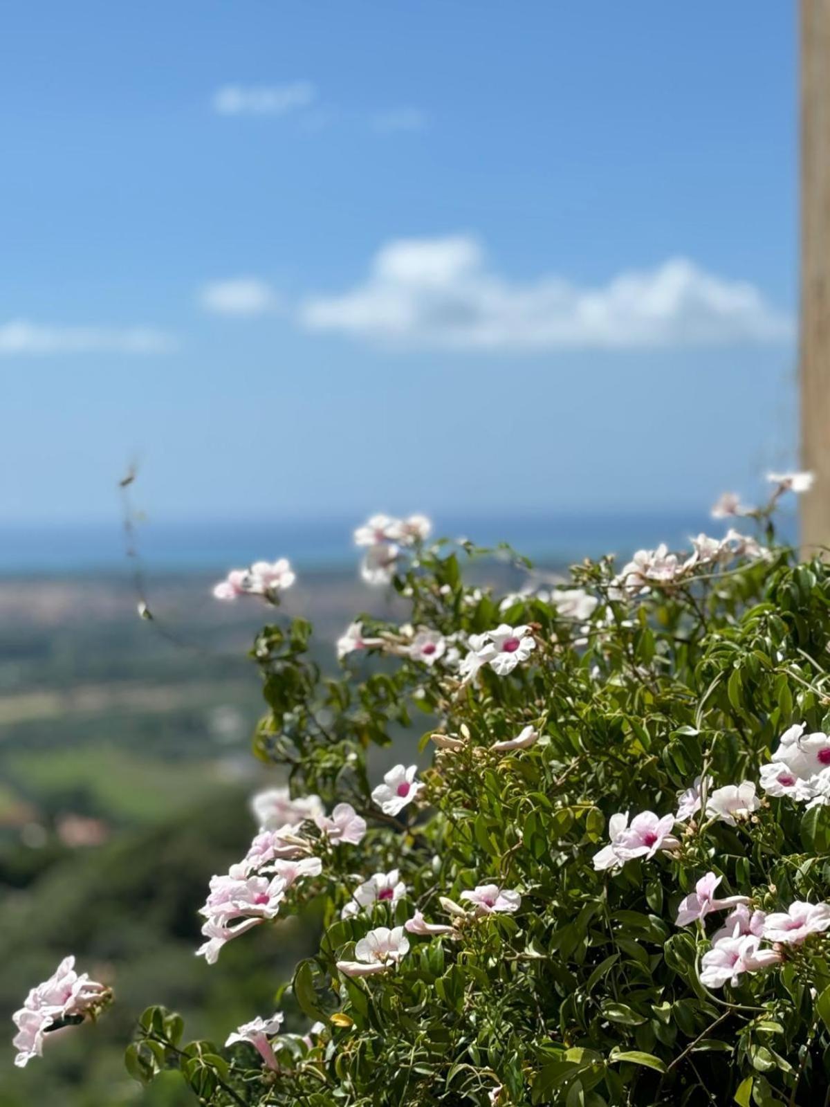 La Casa Delle Stelle Apartamento Tirli Exterior foto